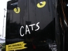 PIS-Cats-Graz11